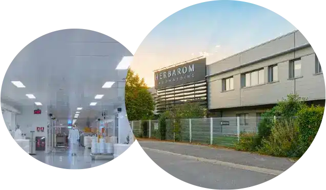 histoire-herbarom-2